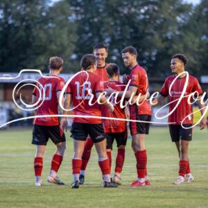 PSF – Felixstowe & Walton FC vs Braintree Town FC – Image 072